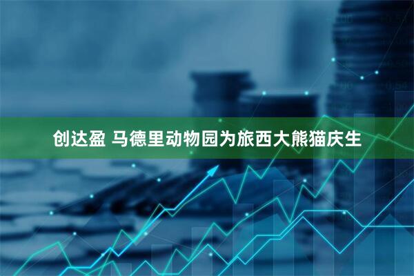 创达盈 马德里动物园为旅西大熊猫庆生