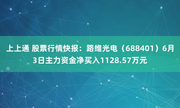 上上通 股票行情快报：路维光电（688401）6月3日主力资金净买入1128.57万元