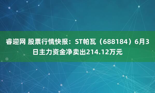 睿迎网 股票行情快报：ST帕瓦（688184）6月3日主力资金净卖出214.12万元