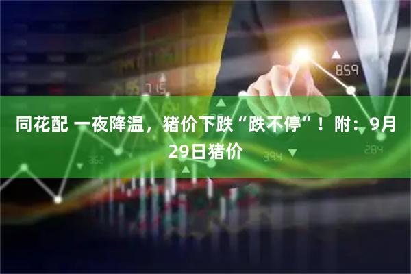 同花配 一夜降温，猪价下跌“跌不停”！附：9月29日猪价