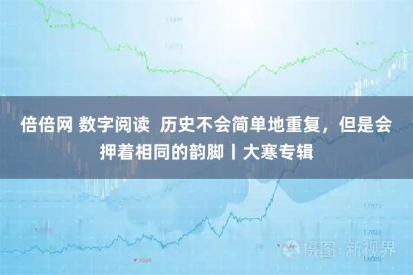 倍倍网 数字阅读  历史不会简单地重复，但是会押着相同的韵脚丨大寒专辑