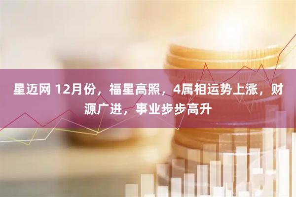 星迈网 12月份,福星高照,4属相运势上涨,财源广进,事业步步高升